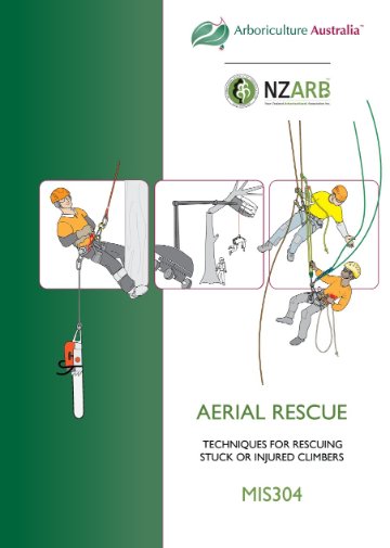 Cover of MIS304 Aerial Rescue