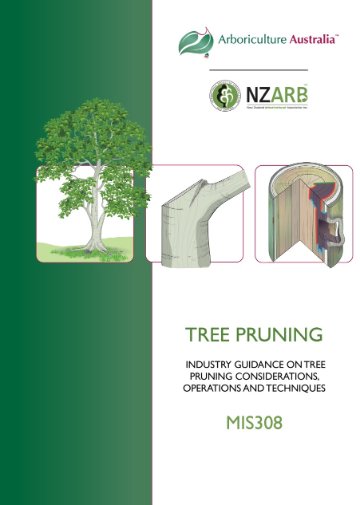 Cover of MIS308 Tree Pruning